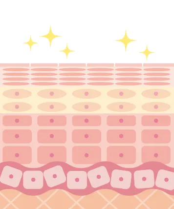 毛穴の汚れや余分な皮脂が取り除かれることで、肌バランスが整いやすい環境をつくります。