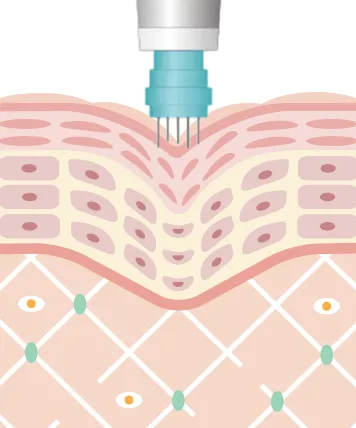 カウンセリング予約