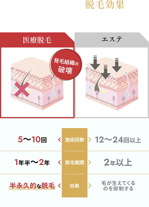 一番の大きな違いは脱毛効果