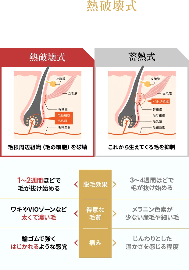 カノアでは熱破壊式の最上位モデルを使用！　