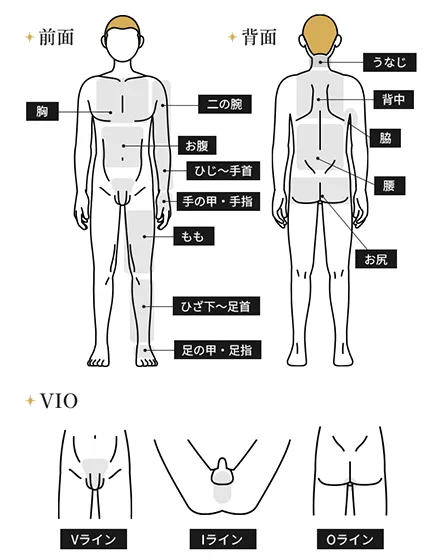 全身＋VIO（うなじ・指先含む）都度払い57,280円(税込)