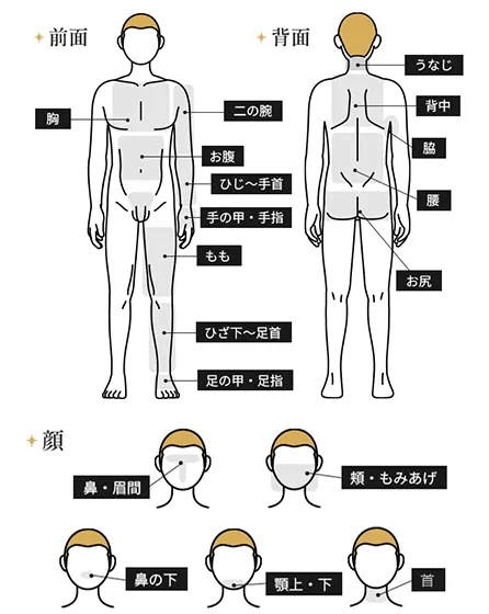 全身＋顔（うなじ・指先含む）都度払い57,280円(税込)