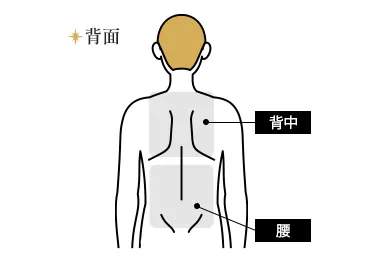 背中・腰都度払い15,850円(税込)
