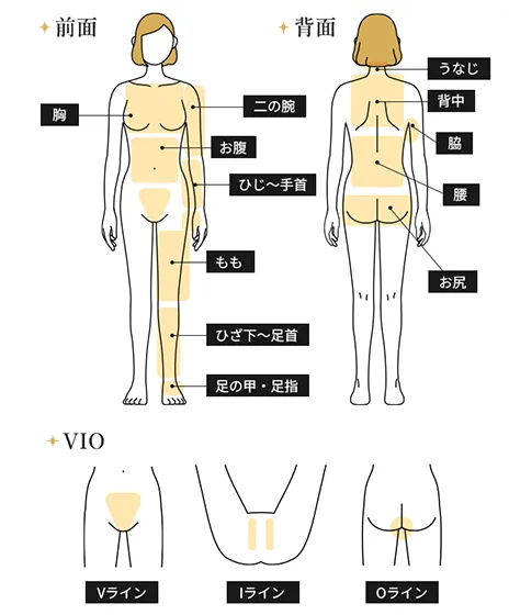 全身＋VIO（うなじ・指先含む）都度払い40,780円(税込)