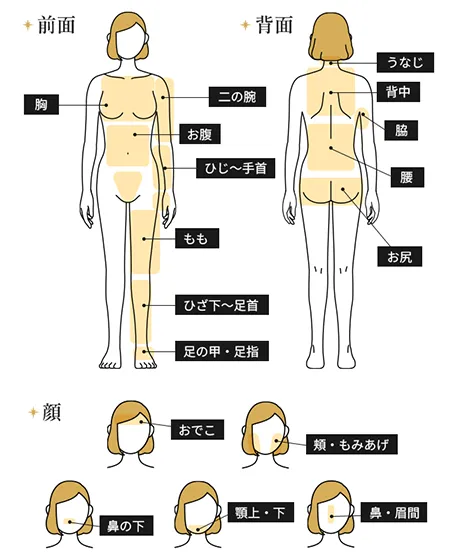 全身＋顔（うなじ・指先含む）都度払い40,780円(税込)