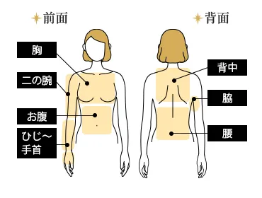 上半身（指先含む）都度払い17,910円(税込)
