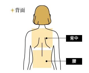 背中・腰都度払い11,860円(税込)