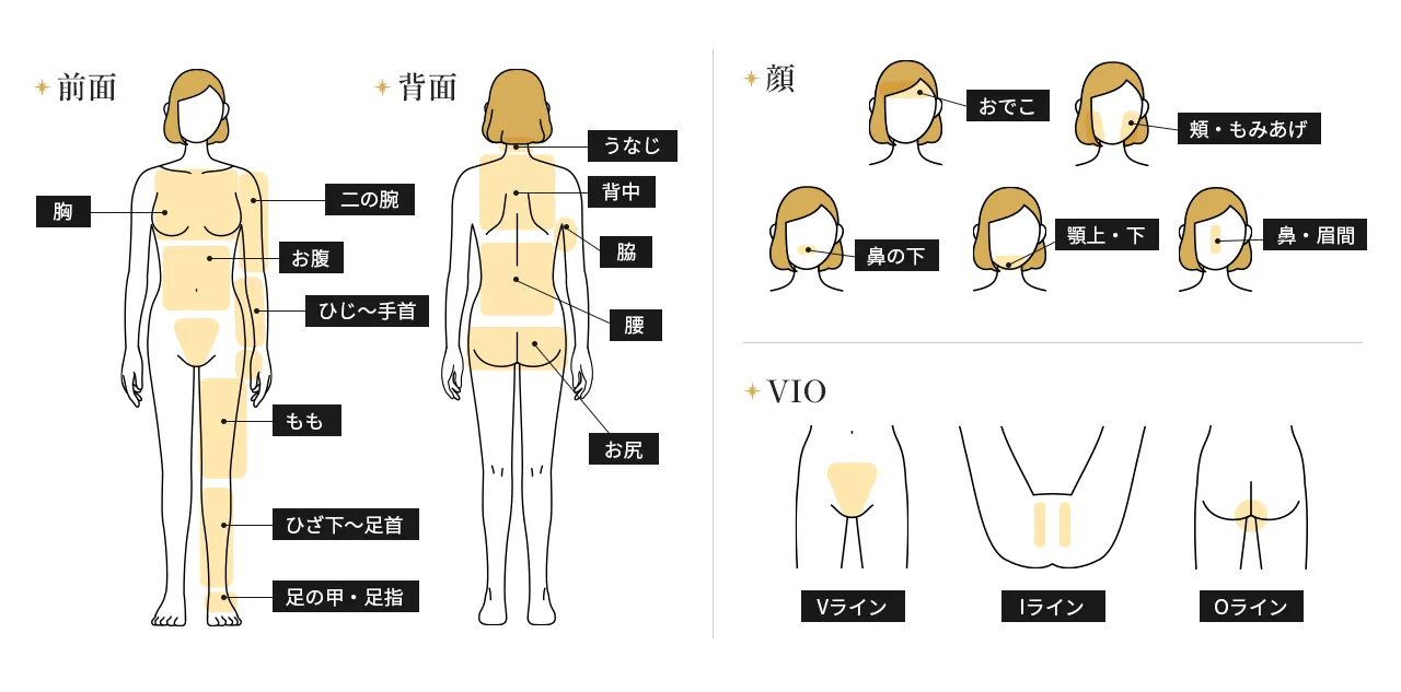 全身＋VIO＋顔（うなじ・指先含む）都度払い52,640円(税込)